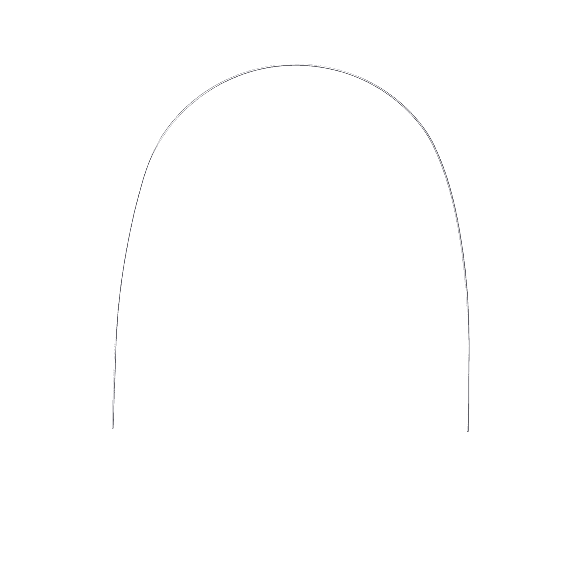 Copper NiTi orthodontic archwire product image