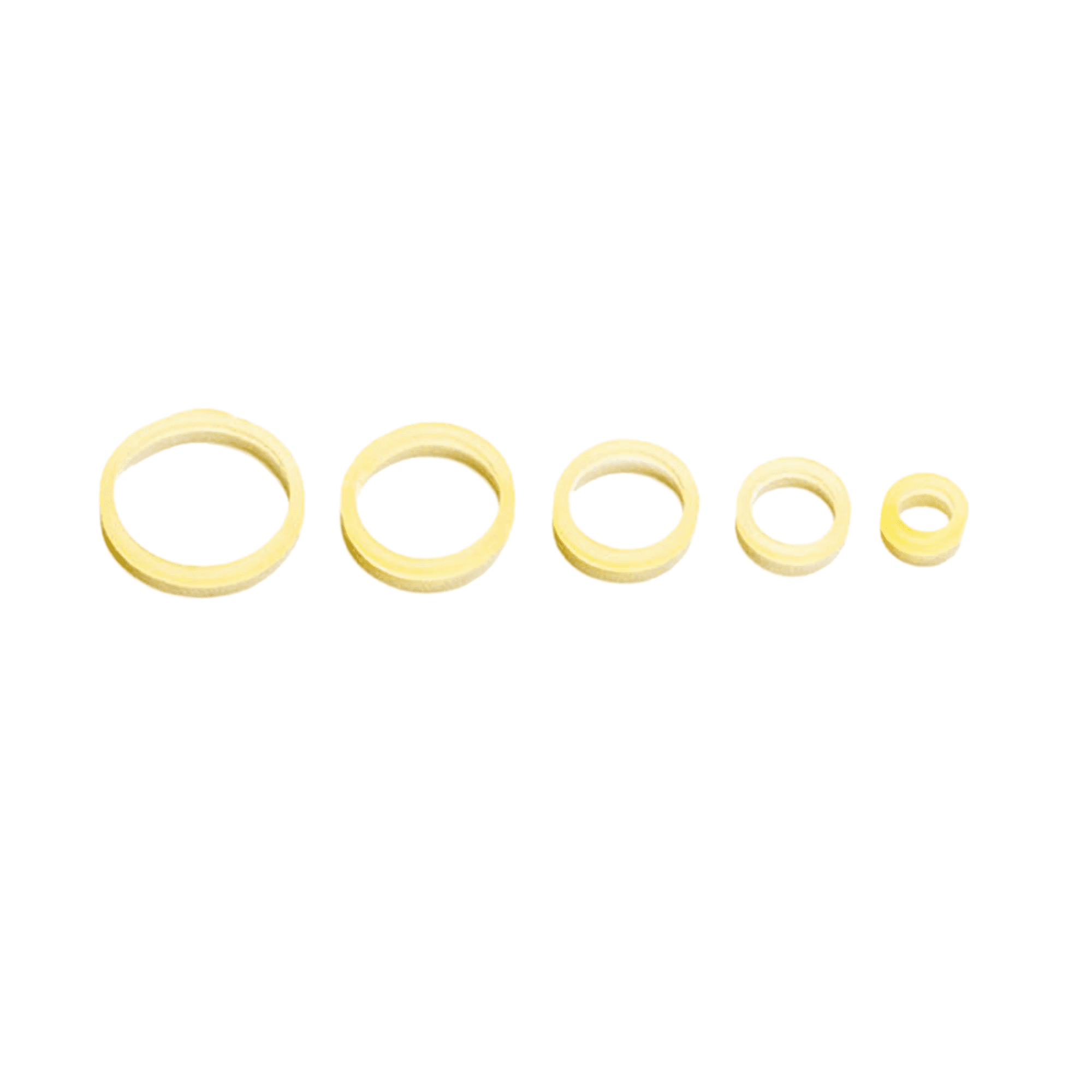 Five visible orthodontic elastic sizes arranged for comparison